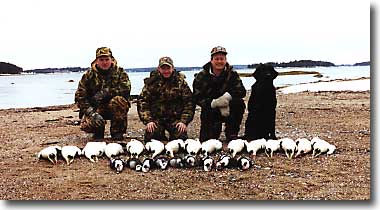 Maine Sea Duck Hunting