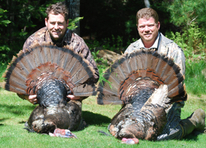 Maine Turkey Hunting