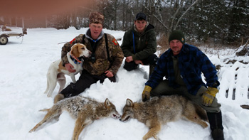 Coyote Hunting